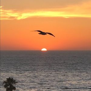 Meet your Posher, Ilyse